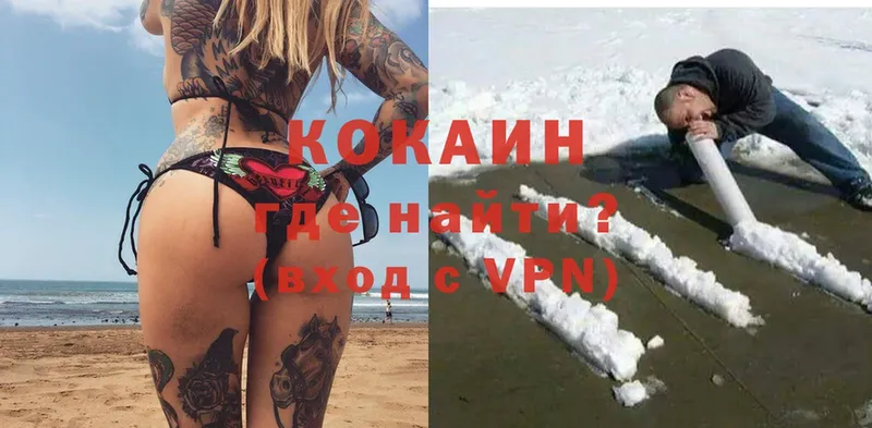 COCAIN Эквадор  купить закладку  Глазов 